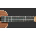 instrument, , large