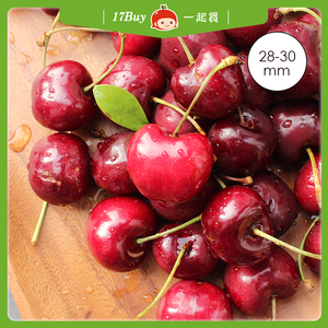 預購免運★1月上旬前到貨【一起買】紐西蘭經典紅櫻桃 / 直徑28mm或更大 (2KG)