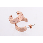 Earrings, , large