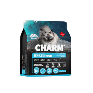 CHARM 野性魅力