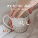 AIWA 愛華 1.7L 11段控溫電茶壼 AA-K21S, , large