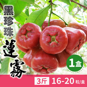 【家購網嚴選】屏東黑珍珠蓮霧 3斤 (16-20顆/盒)