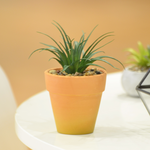 ARTIFICIAL PLANT IN TERRACOTTA POT SET OF 4, , large