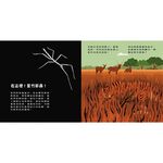[禾流文創]登登登！透光Show 動物的偽裝術！, , large