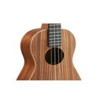 instrument, , large