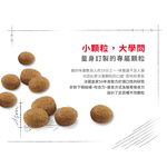 【Royal Canin法國皇家】絕育熟齡貓7+歲齡S36+7, , large