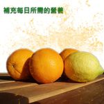 GS MALL 台灣製造 海芋造型果汁噴瓶 海芋造型 果汁噴瓶 海芋噴瓶 果汁瓶 海芋 噴瓶 料理用具, , large