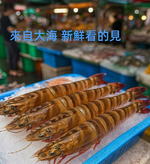 prawn, , large