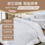 【多利寶寢具】Victoria_剋菌寶防蟎抗菌雙人舒眠被/棉被胎, , large