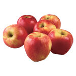 加拉蘋果#113, , large