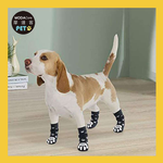PETS, , large