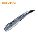 ROLAND AE-01 Aerophone mini 數位吹管【敦煌樂器】, , large