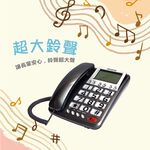 AIWA 愛華 超大字鍵大鈴聲有線電話 ALT-892, , large