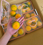 [芯鮮果]日本福岡( 蜜柑 ), , large