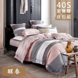【愛神】40支天絲台灣製造天絲<醒春>加大床包組