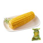 Sweet Corn, , large