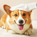 pets-cleansing-wipes, , large