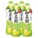 Japanese Tea, , large