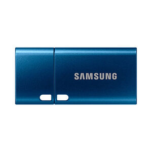 SAMSUNG USB Type-C 256G (MUF-256DA)