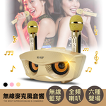 Owl Microphone Speaker, , large