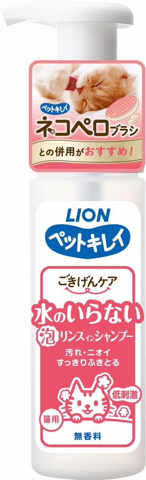 lion