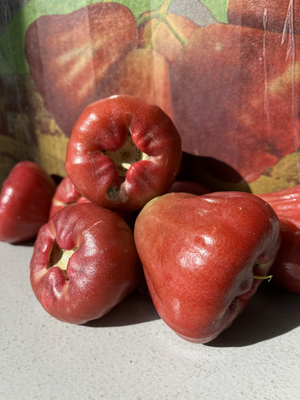 Black Pearl Wax Apple