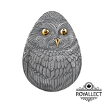 SHORT-EARED OWL Marvelous Owls 1 Oz Silver Coin 2 Dollars Niue 2024, , large