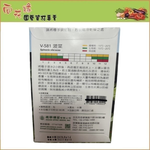 Skystar Spinach &ndash; Vegetable Seeds, , large