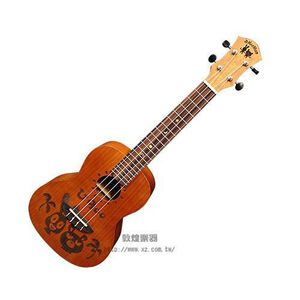 aNueNue U900IIS 23 吋 面單烏克麗麗【敦煌樂器 】