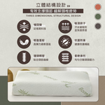 【Galatea 葛拉蒂】竹纖維卡斯達慢回彈記憶護頸枕 2入(睡眠枕/記憶枕/人體工學/枕頭), , large