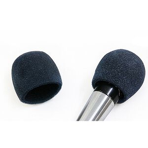 THMC 麥克風海綿套一包兩入 麥克風套 (一次出貨五包)【敦煌樂器】