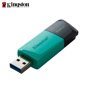 Kingston USB