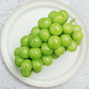 [馥果FruitGo]韓國麝香葡萄