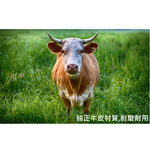 【CAR WAY】牛魔王真皮方向盤套S(方向盤套 真皮 牛皮), , large