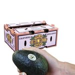 Imported Avocado#48, , large