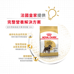 【Royal Canin法國皇家】迷你雪納瑞成犬SNA, , large