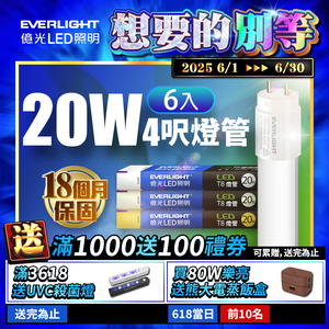 Everlight億光 6入組 LED T8 二代玻璃燈管 4呎 20W(白光/黃光)