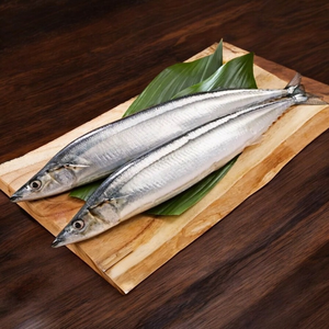 Saury