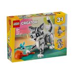 Playful Cat, , large