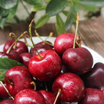 預購免運★1月上旬前到貨【一起買】紐西蘭經典紅櫻桃 / 直徑28mm或更大 (2KG), , large
