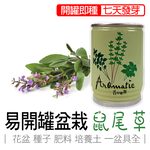 sage, , large