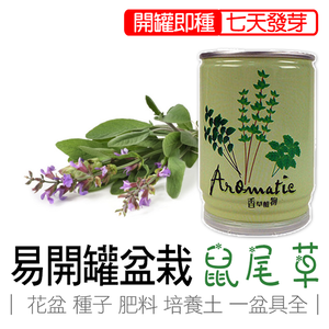 sage