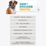 【虎揚】LIFE+ 犬用 生命膠囊 (60粒/盒) 甲魚蛋 鱉丹 爆毛丹 寵物保健, , large