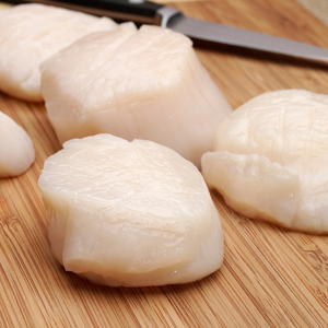 Scallops