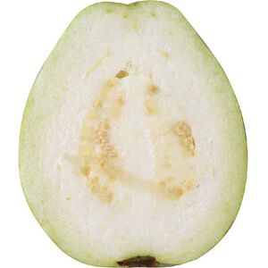 Emperior Guava/bag