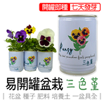 【心安購物】iPlant易開罐盆栽-三色堇, , large