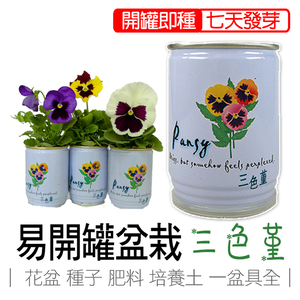 【心安購物】iPlant易開罐盆栽-三色堇