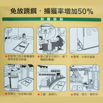 黏鼠寶奶酪香黏鼠板-小-2入-6組, , large