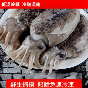 【吾家有貓-海鮮屋 】特級鮮Q厚實大花枝 約350克重 減脂/年菜 聖品