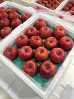 Aomori Honey Fuji Apple, , large